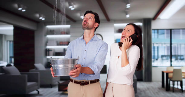 Best Professional water damage repair  in USA